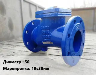 Клапан стальной 50 19с38нж Ру63 обратный, поворотный от 0 до +425